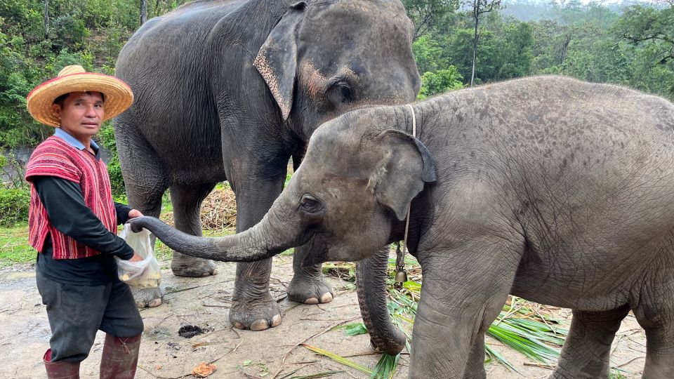 Chiang Mai: Elephant Sanctuary & Waterfall Group Tour - Bathing the Elephants