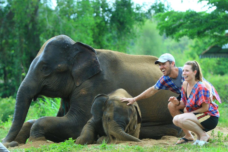 Chiang Mai: Exclusive Elephant Nursery Full-Day Program - Booking Options and Pricing Details