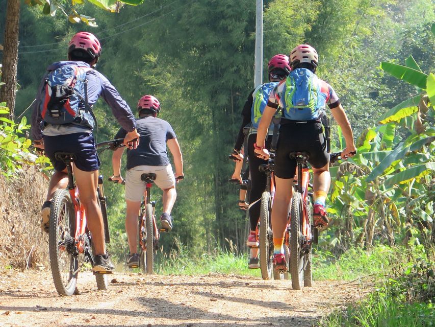 Chiang Mai Fields of Gold Cycling Tour - Booking Information