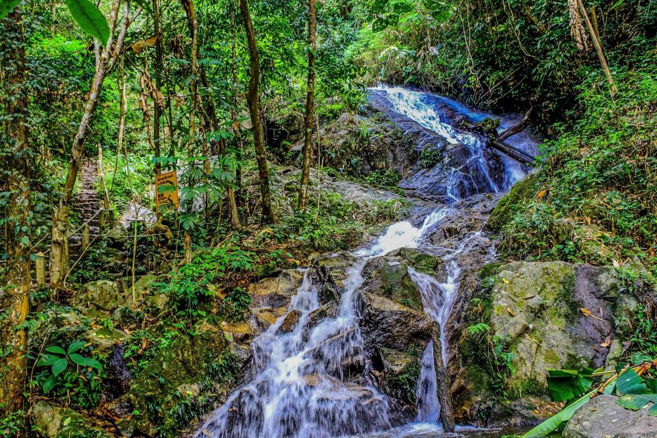 Chiang Mai: Pha Dok Siew Nature Trail & Doi Inthanon Trip - Booking and Cancellation Policy