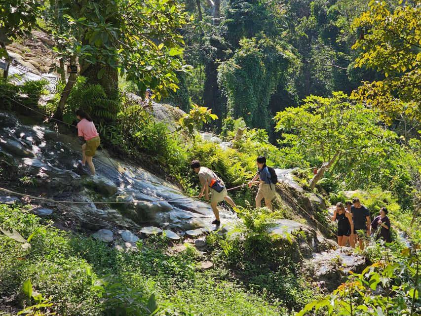 Chiang Mai: Sticky Waterfall Half-Day Tour & Hotel Transfers - Exploring Si Lanna National Park