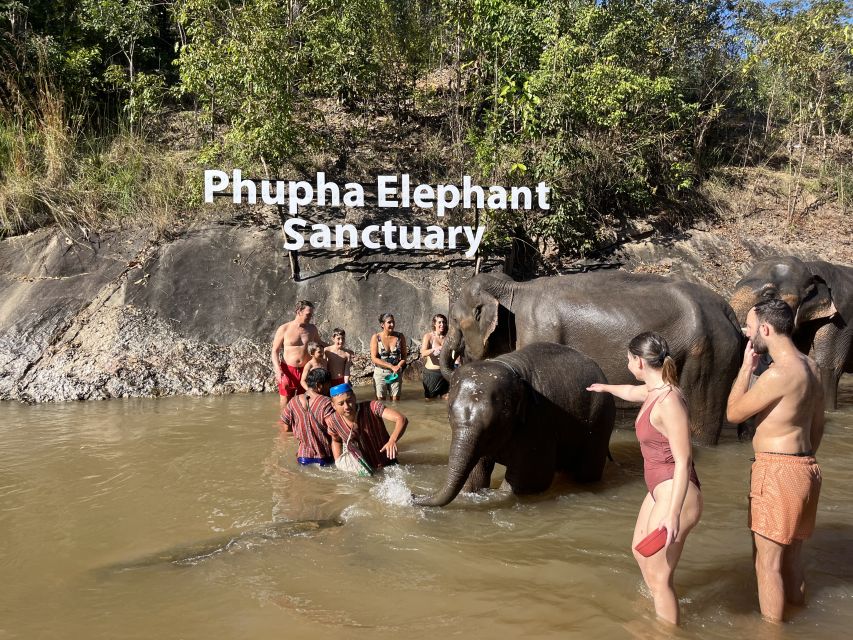 Chiang Mai: Waterfall, Elephant Sanctuary, and Rafting Tour - Observing Elephants in Habitat