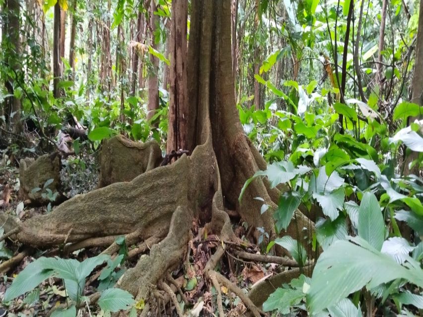 ChiangMai Tour and Trek - Visiting Doi Suthep Temple