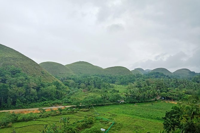 Chocolate Hills Bohol Nature Tour | Travel Buddies