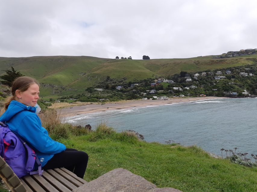 Christchurch: Godley Head & Lyttelton Guided Walking Tour - Logistics