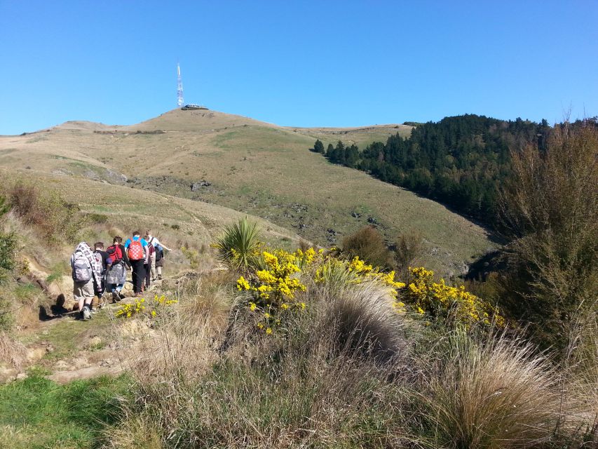 Christchurch: Packhorse Hut Guided Walk and Scenic Drive - Important Information