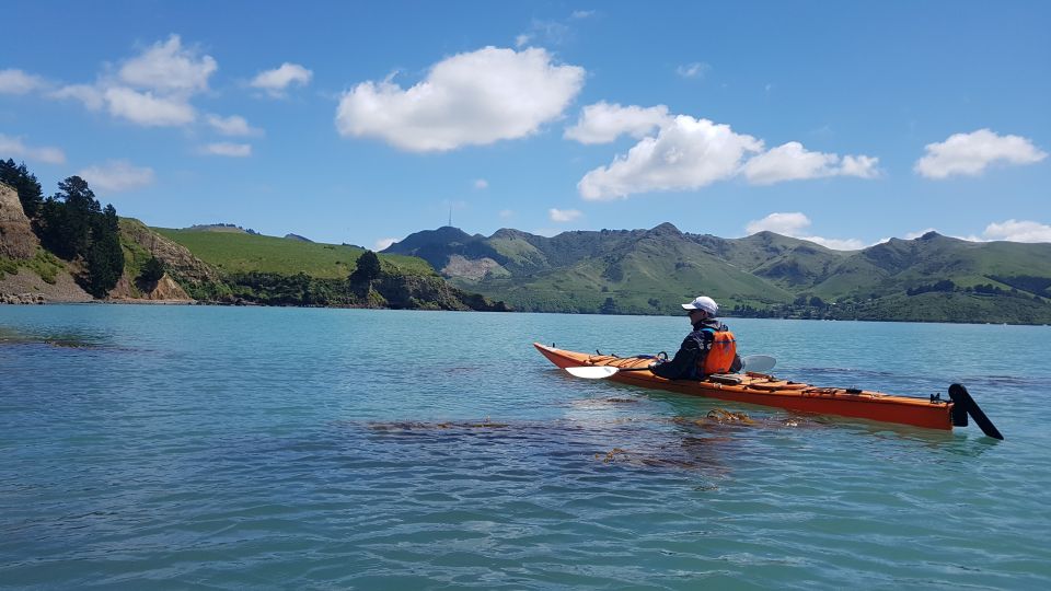 Christchurch: Sea Kayaking Tour of Lyttelton Harbour - Important Information