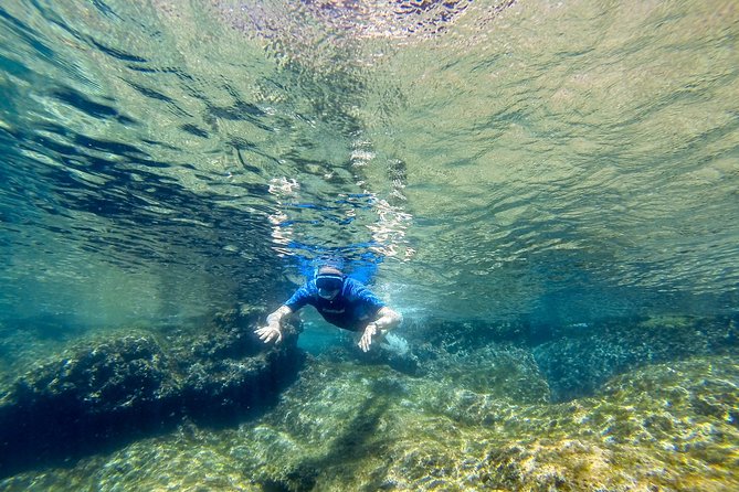 Cinque Terre Half Day Kayak Trip From Monterosso - Cancellation Policy and Additional Information