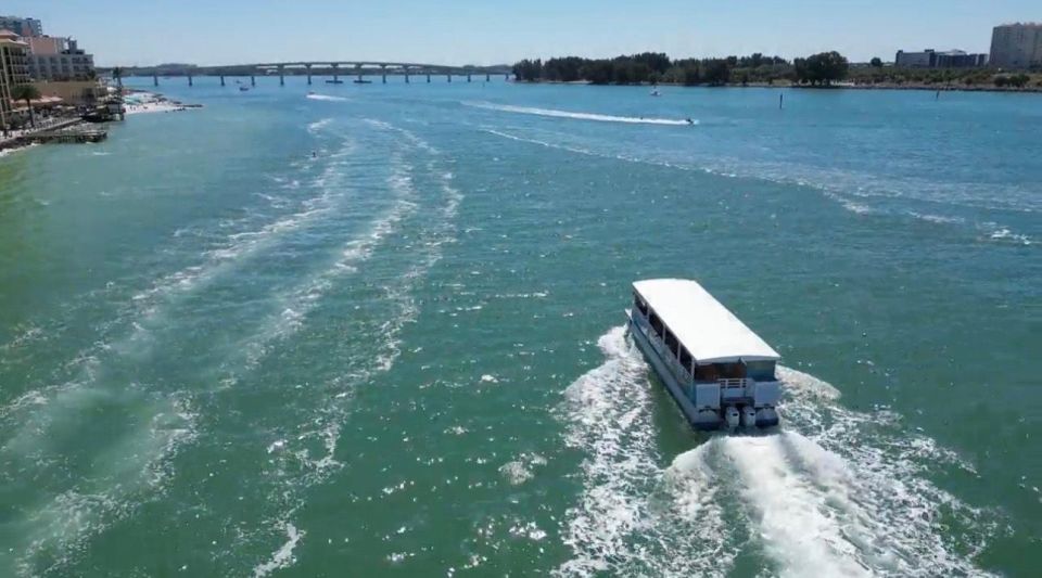 Clearwater Beach: Dolphin and Island Sandbar Boat Tour - Meeting Point and Arrival