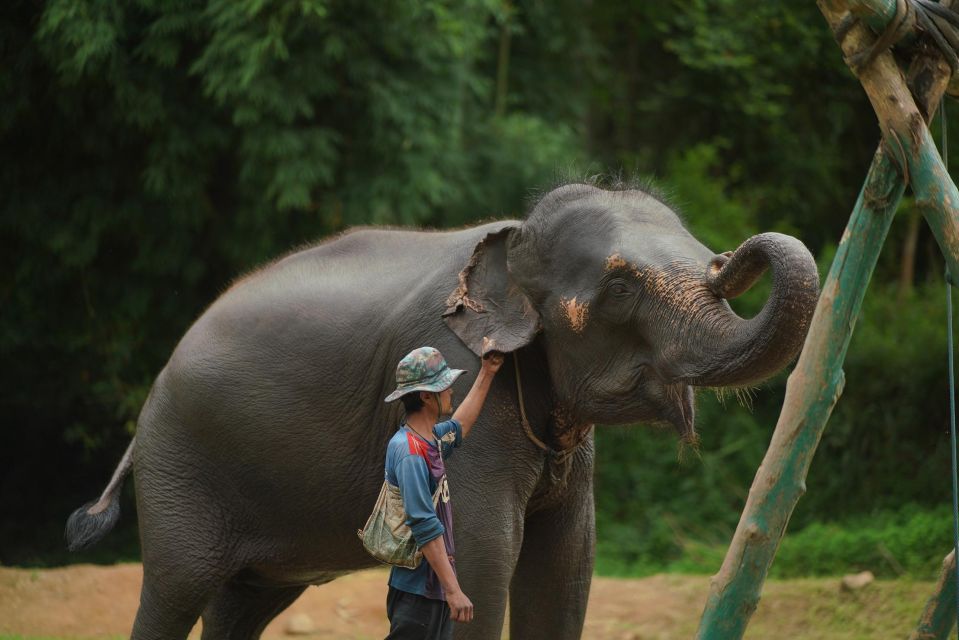 CM: Private Elephant Care, Rafting, Long Neck Karen&Ziplines - Visiting Long Neck Karen Village