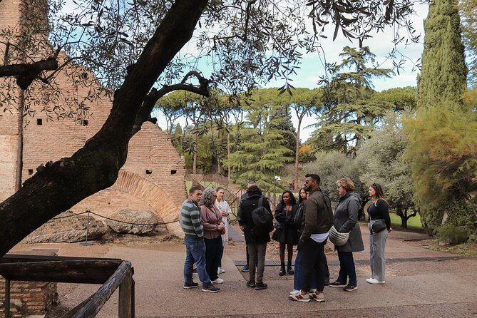 Colosseum Guided Tour - Reviews