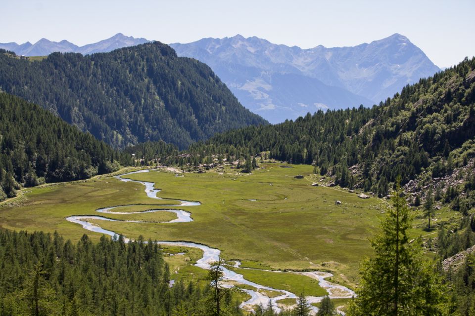 Como Lake: Valmasino and Preda Rossa Full-Day Hike - Booking