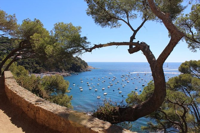 Costa Brava Full Day Trip From Barcelona With Boat Trip - Cap De Creus National Park