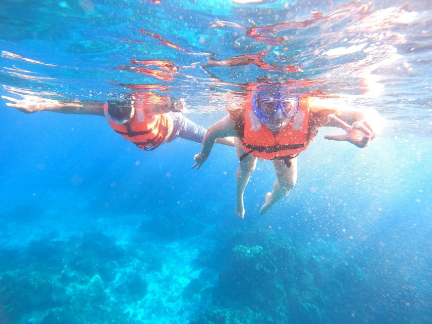 Cozumel: the Starfish Sanctuary Sky - Arrival Time Recommendation