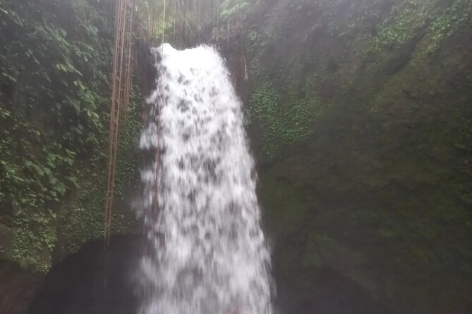 CRETYA Ubud Infinity Pool + Hidden Water Fall + Water Temple Tour - Experience Feedback