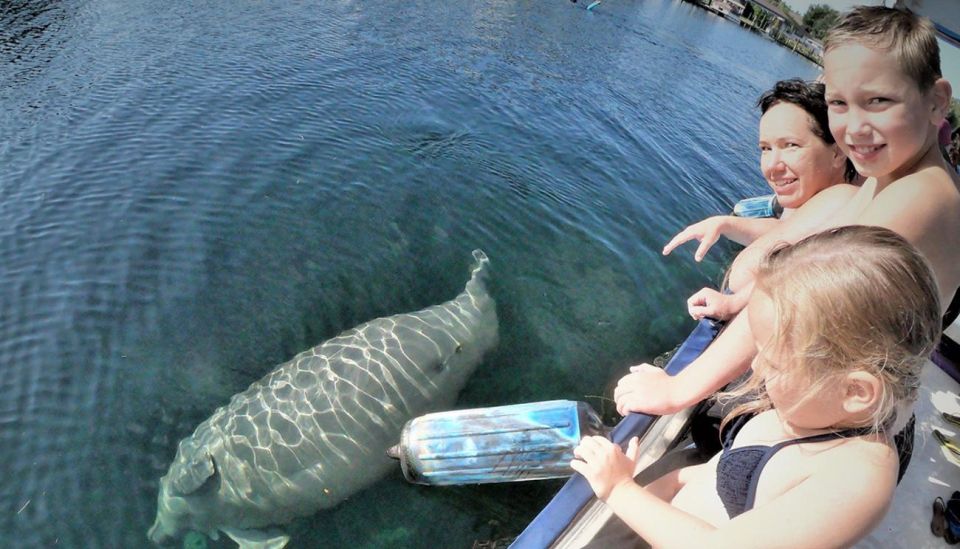 Crystal River: Manatee Viewing Cruise - Discovering Wildlife in Manatee Capital