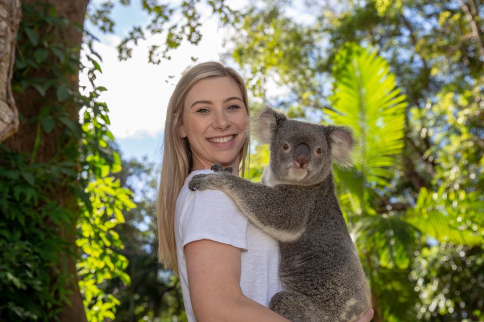 Currumbin Wildlife Sanctuary Ticket & Koala Photo - Inclusions in the Ticket Package