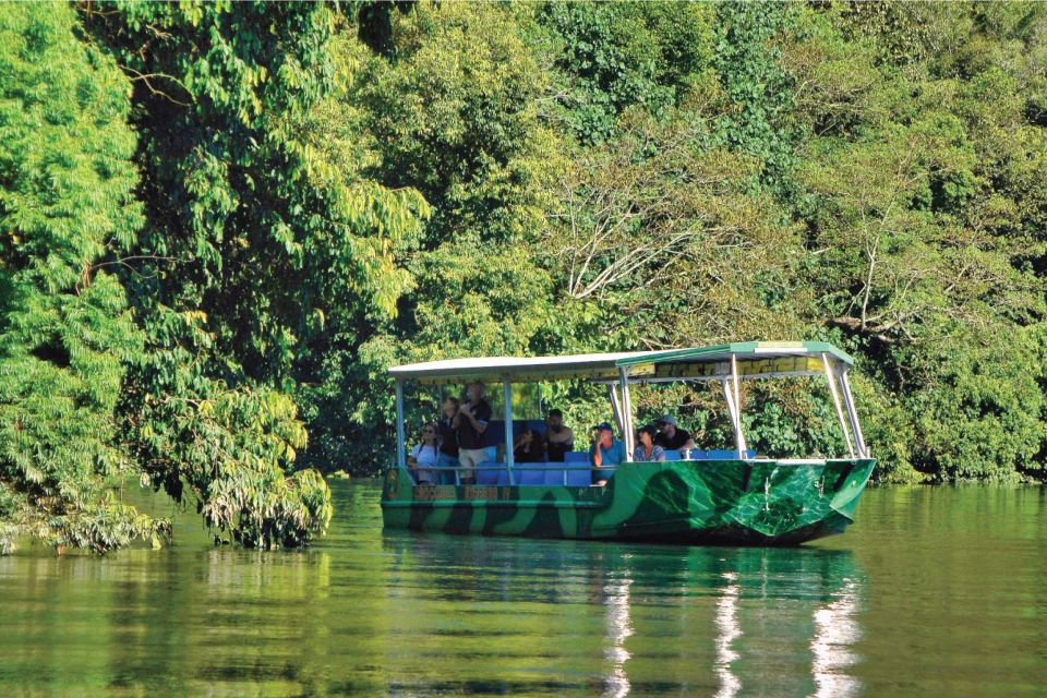 Daintree: Lower Daintree Crocodile & Wildlife Cruise - Customer Reviews