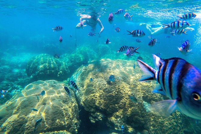 Day Tour to Angthong Marine Park by Insea Speedboat From Koh Samui - Onboard Amenities and Refreshments