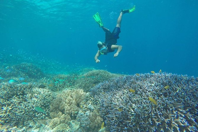 Day Trip to Gili Trawangan, Gili Meno, Gili Air (Depart From Lombok) - Transportation and Pickup