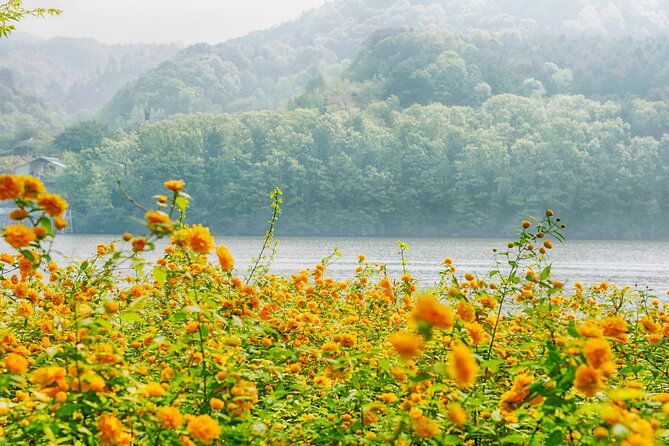 Day Trip to Nami Island With Rail Bike and the Garden of Morning Calm - Round-trip Transportation Included