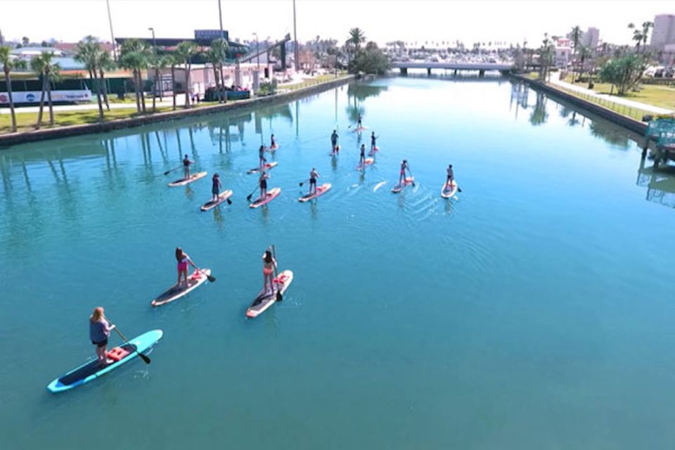 Daytona Beach: Guided Kayaking or Standup Paddling Tour - Crystal-Clear Waters