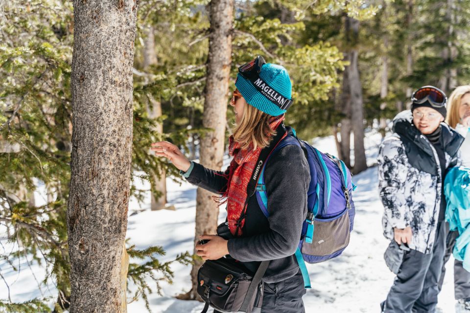 Denver: Glacier Hike and Geothermal Cave Pools - Panoramic Lake Views