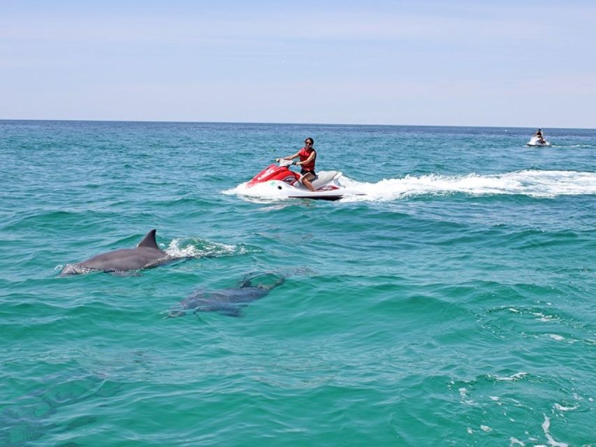 Destin: Crab Island Dolphin Watching Jet Ski Tour - Requirements