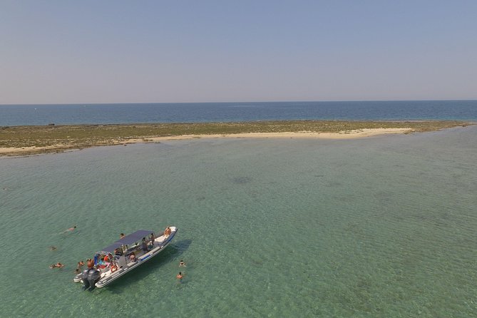 Dinghy Tour in Porto Cesareo, Punta Prosciutto and Islands - Exploring Porto Cesareo