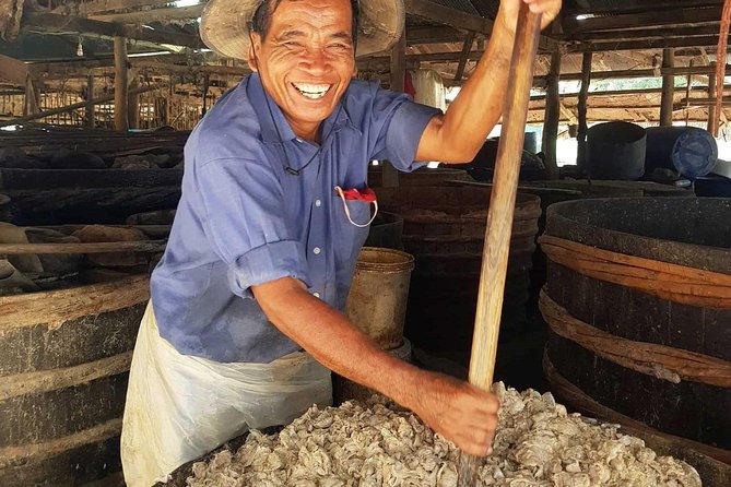 Discover Battambang Local Livelihoods on a Half-Day Bicycle Tour - Pickup and Meeting Details