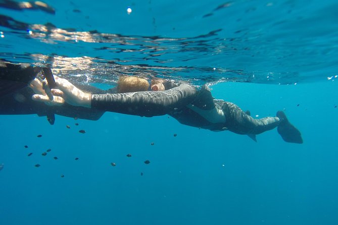 Discover Freediving Course - Meeting and Pickup Details