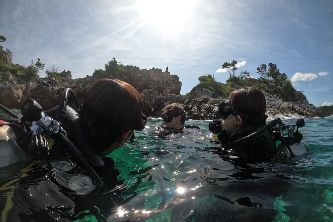 Discover SCUBA Diving - Customer Reviews and Ratings