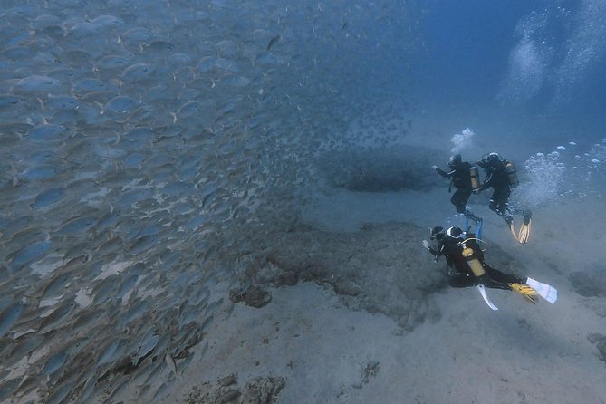 Discover Scuba Diving in Puerto De Mogan - Pickup and Additional Details