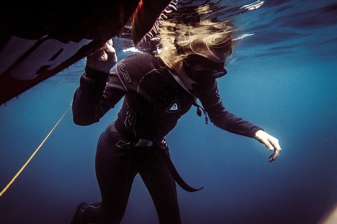 Discovery Freediving Program - Experienced Guiding and Yoga