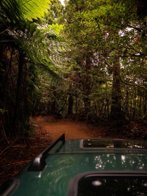 Do You Want to Enjoy a Jeep Tour in a Different Way? - Thrilling Jeep Tour Experience