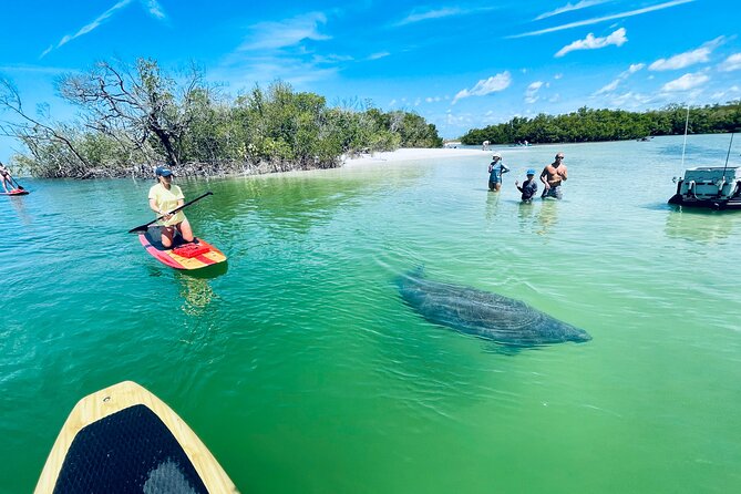 Dolphin and Manatee Adventure Tour of Fort Myers - Expectations and Itinerary