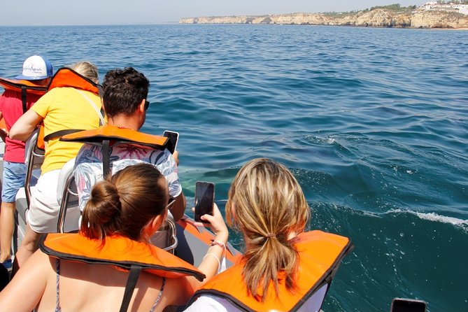 Dolphin and Whale Watching in Lagos - Accessibility Information