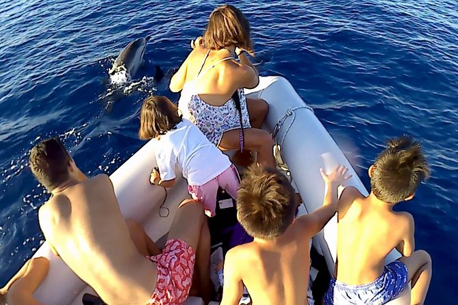 Dolphin Watching & Conservation - Dolphins in the Gulf of Catania - Tour Group Size and Accessibility