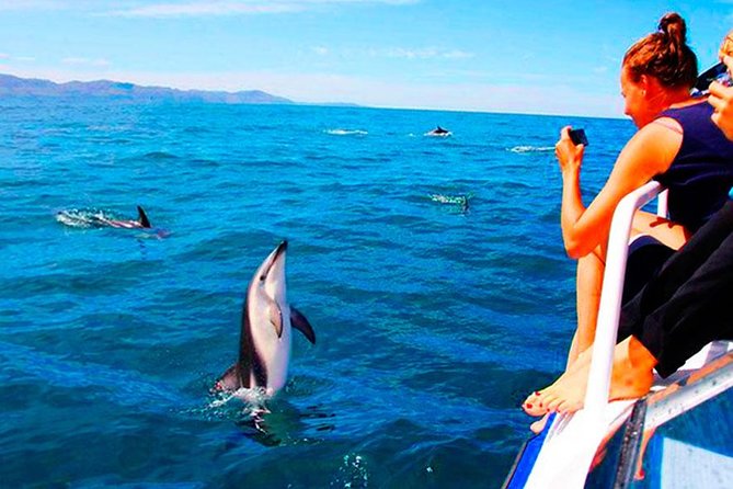 Dolphins Watching in the National Park Brijuni From Pula - Cancellation Policy and Refunds
