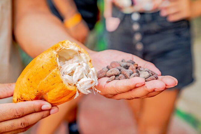 Dominican Republic Countryside Safari Tour From Punta Cana - Tour Duration and Inclusions