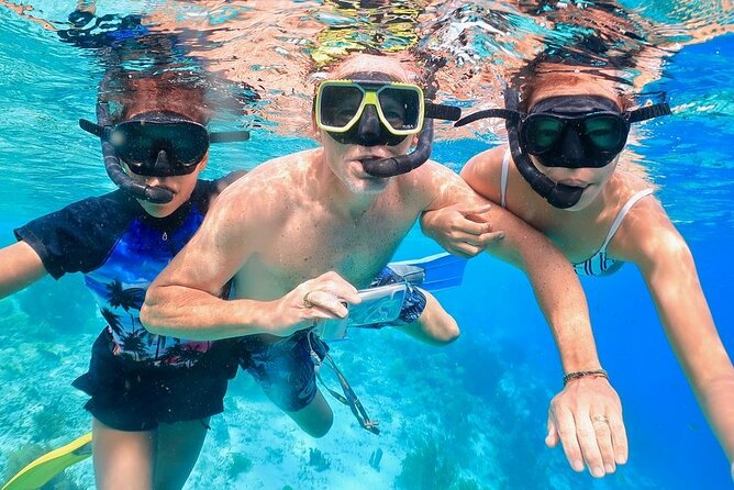 Double Dip Snorkel Trip - Guided Drift Snorkel Experience