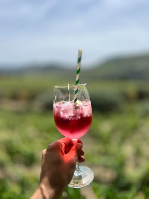 Douro Valley With a Local - Tasting Day, All Included - Boat Cruise in the Douro Valley