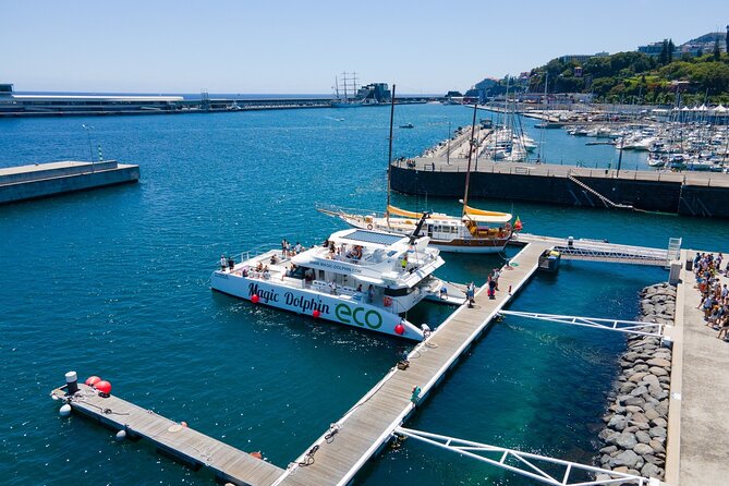Eco-Friendly Catamaran Dolphin and Whale Watching - Meeting Point and Boarding Information