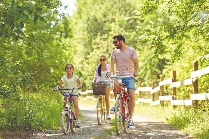 Electric Bike Excursion in Camargue - Exploring Camargue Wetlands