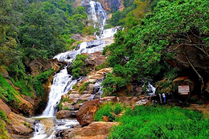 Ella Day Trip With Train Ride & Tea Factory - All Inclusive - Customer Experiences and Reviews