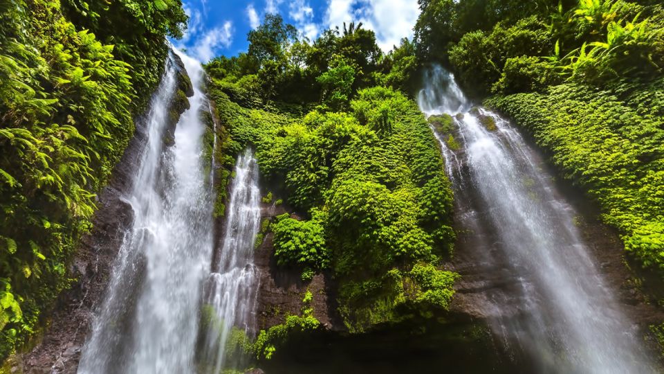 Enchanting Bali Adventure: Sekumpul and Fiji Waterfall Expedition - Scenic Rice Terrace Hikes