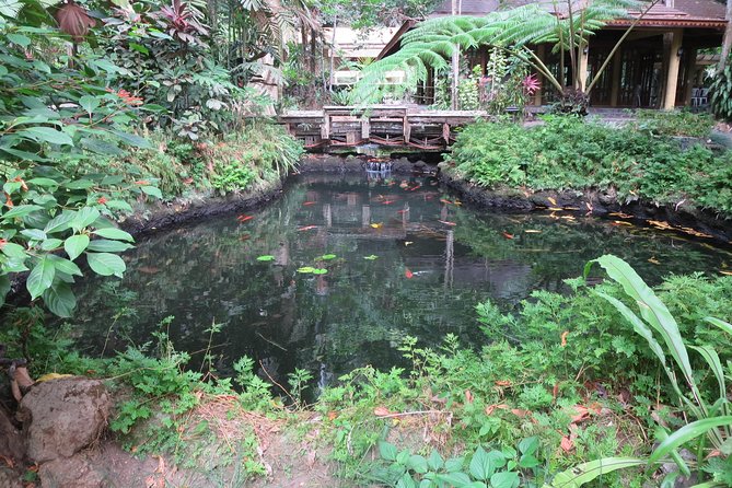 Escape to Enchanting Hidden Valley Springs! With Transfers*** - Booking and Confirmation Process