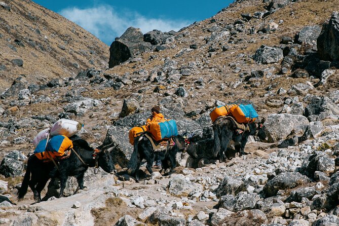 Everest Base Camp Trek - 14 Days - Booking Process and Confirmation
