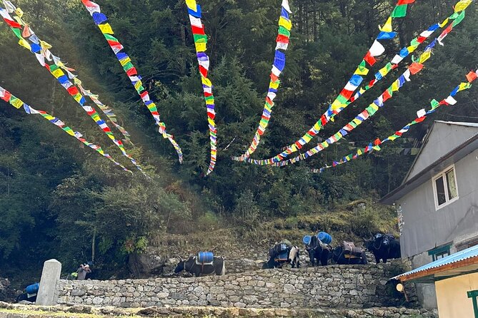 Everest Base Camp Trek - Trekking Permits and Logistics