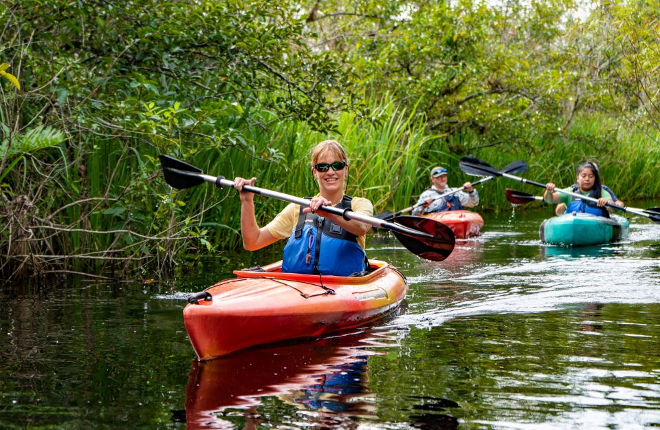 Everglades City: Guided Kayaking Tour of the Wetlands - Meeting Point